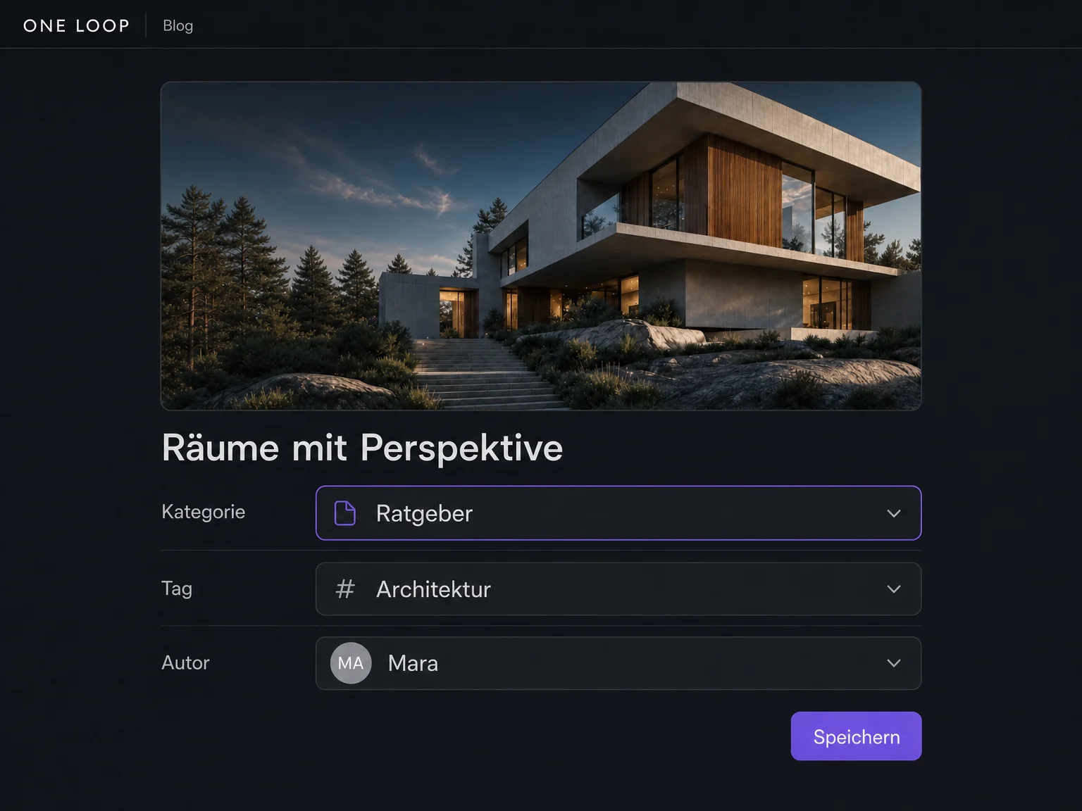 Der Beispielartikel erhält die Kategorie Ratgeber, den Tag Architektur und die Autorin Mara in seinen Beitragseinstellungen.