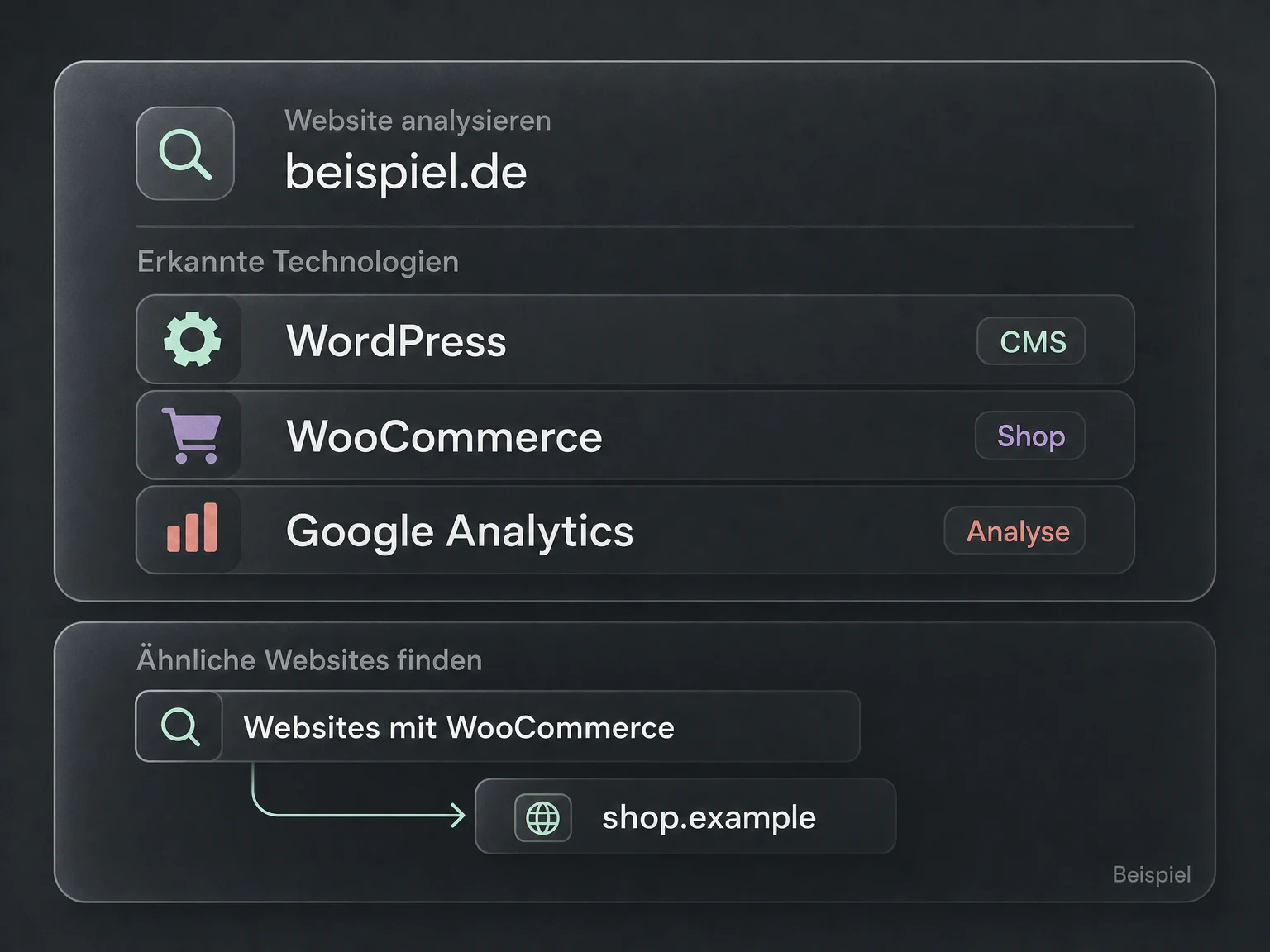 Beispiel einer Website-Analyse mit erkanntem WordPress, WooCommerce und Google Analytics sowie einer Technologiesuche.
