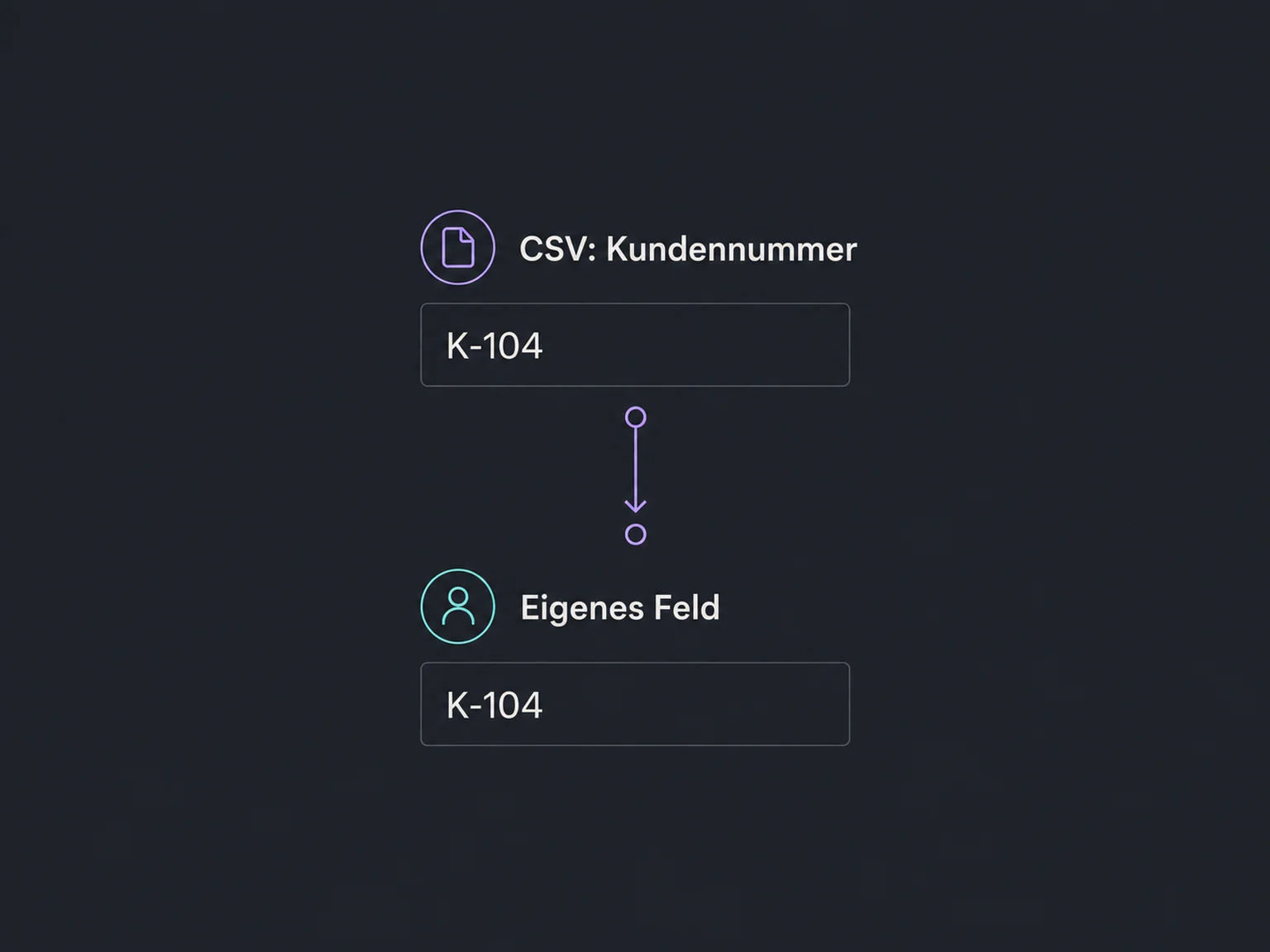 Die CSV-Spalte Kundennummer wird dem zuvor angelegten eigenen Kontaktfeld zugeordnet.