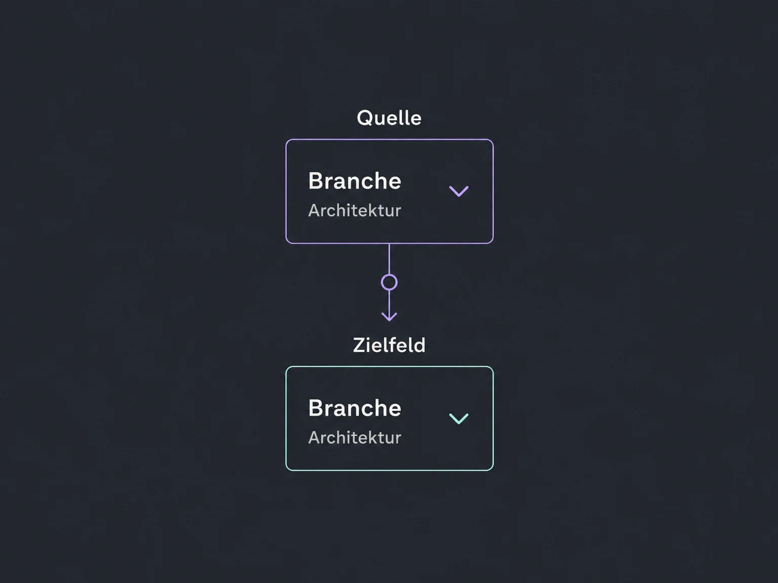 Das Quellfeld Branche wird dem Firmenfeld Branche mit dem Beispielwert Architektur zugeordnet.